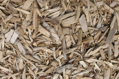 biomass boilers Ovingdean